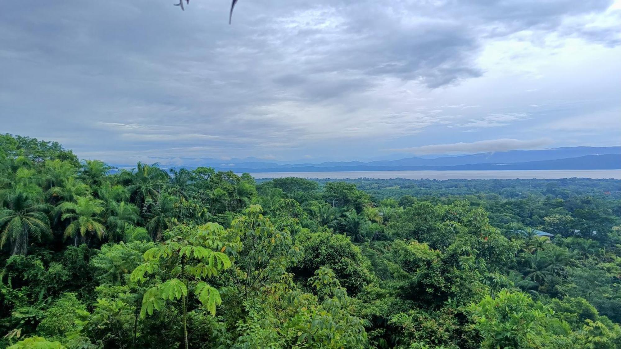 Corcovado Private Villas - Corcovado Private Reserve Puerto Jiménez エクステリア 写真
