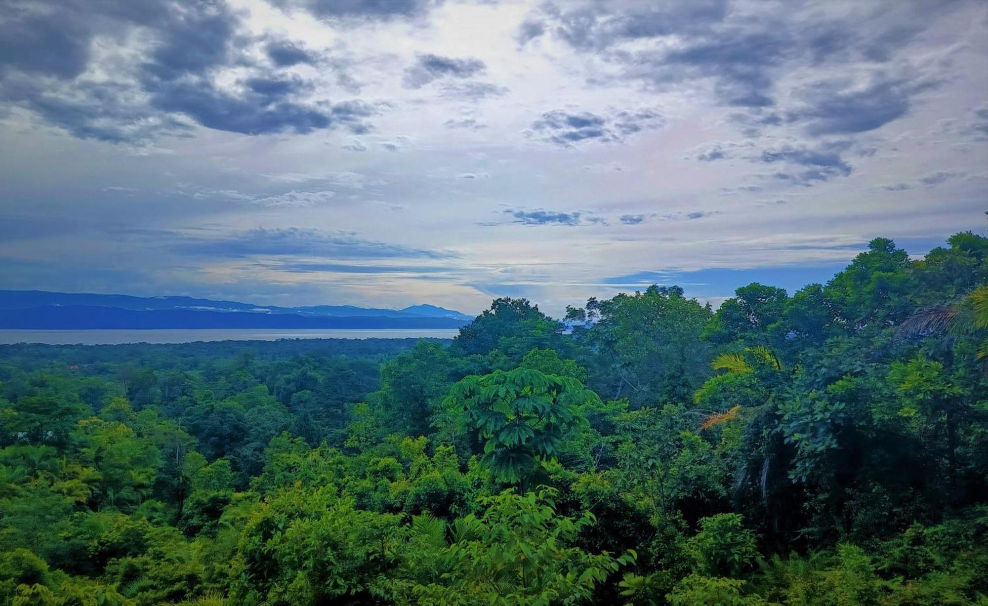 Corcovado Private Villas - Corcovado Private Reserve Puerto Jiménez エクステリア 写真