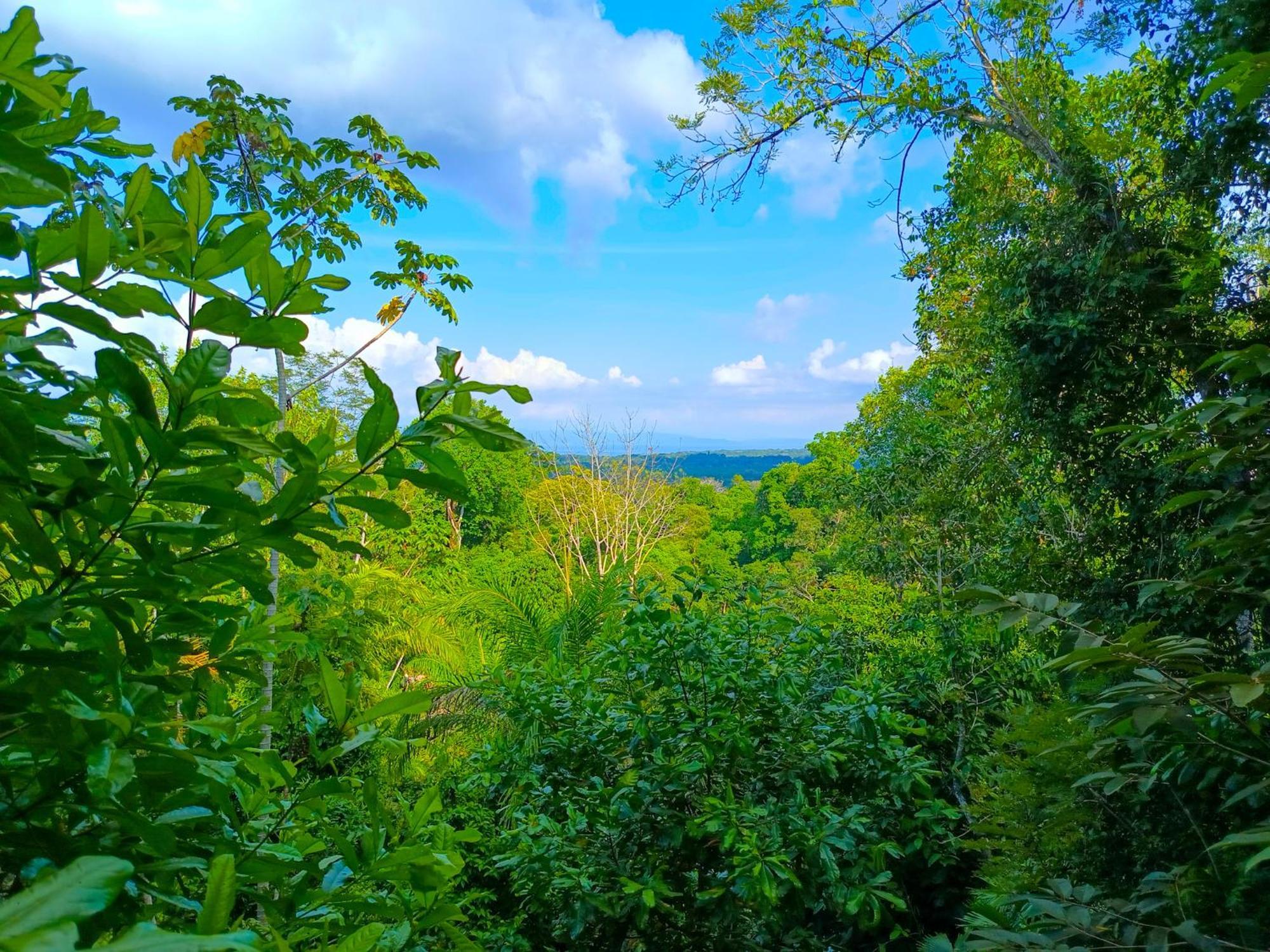 Corcovado Private Villas - Corcovado Private Reserve Puerto Jiménez エクステリア 写真