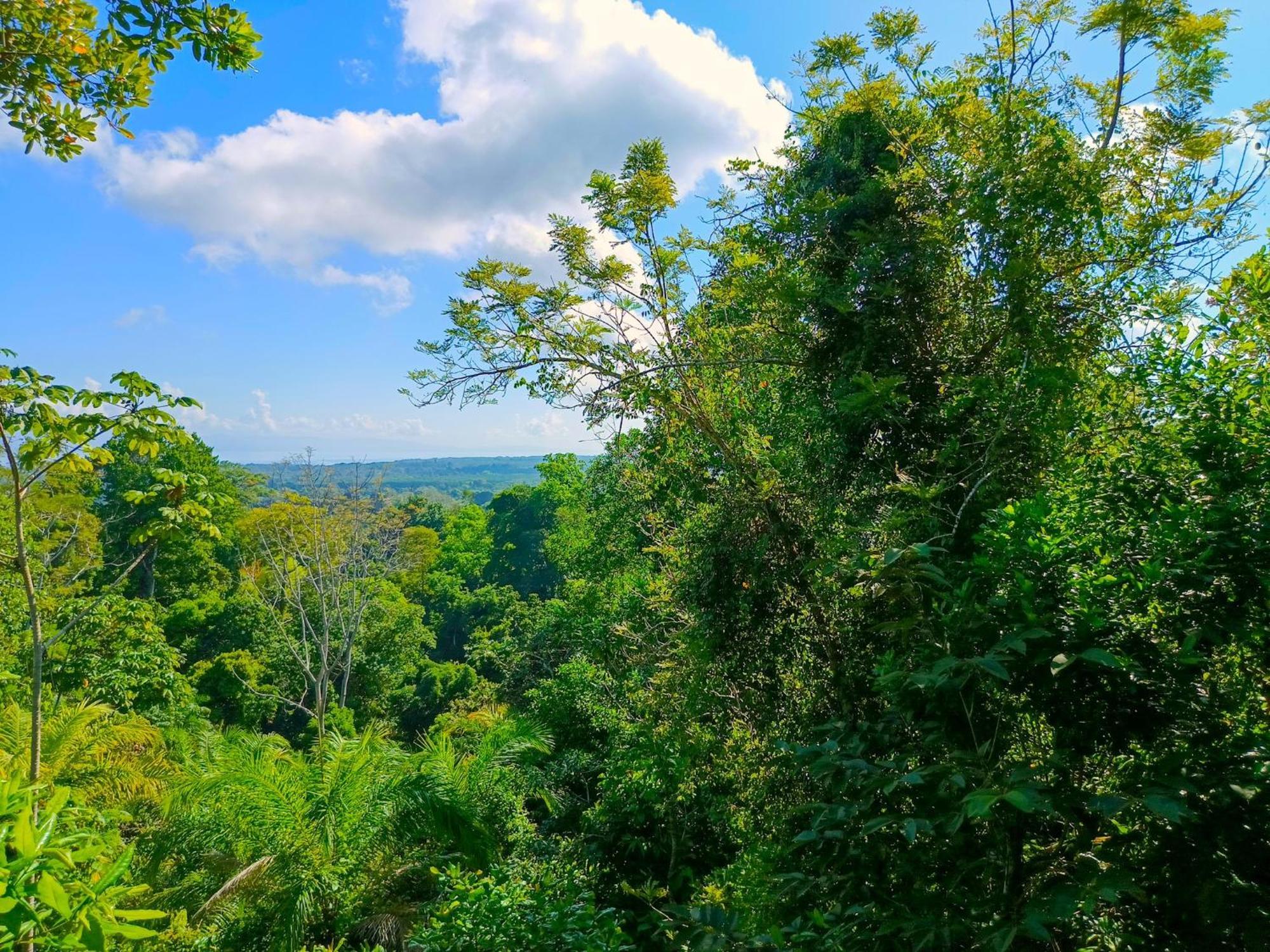 Corcovado Private Villas - Corcovado Private Reserve Puerto Jiménez エクステリア 写真