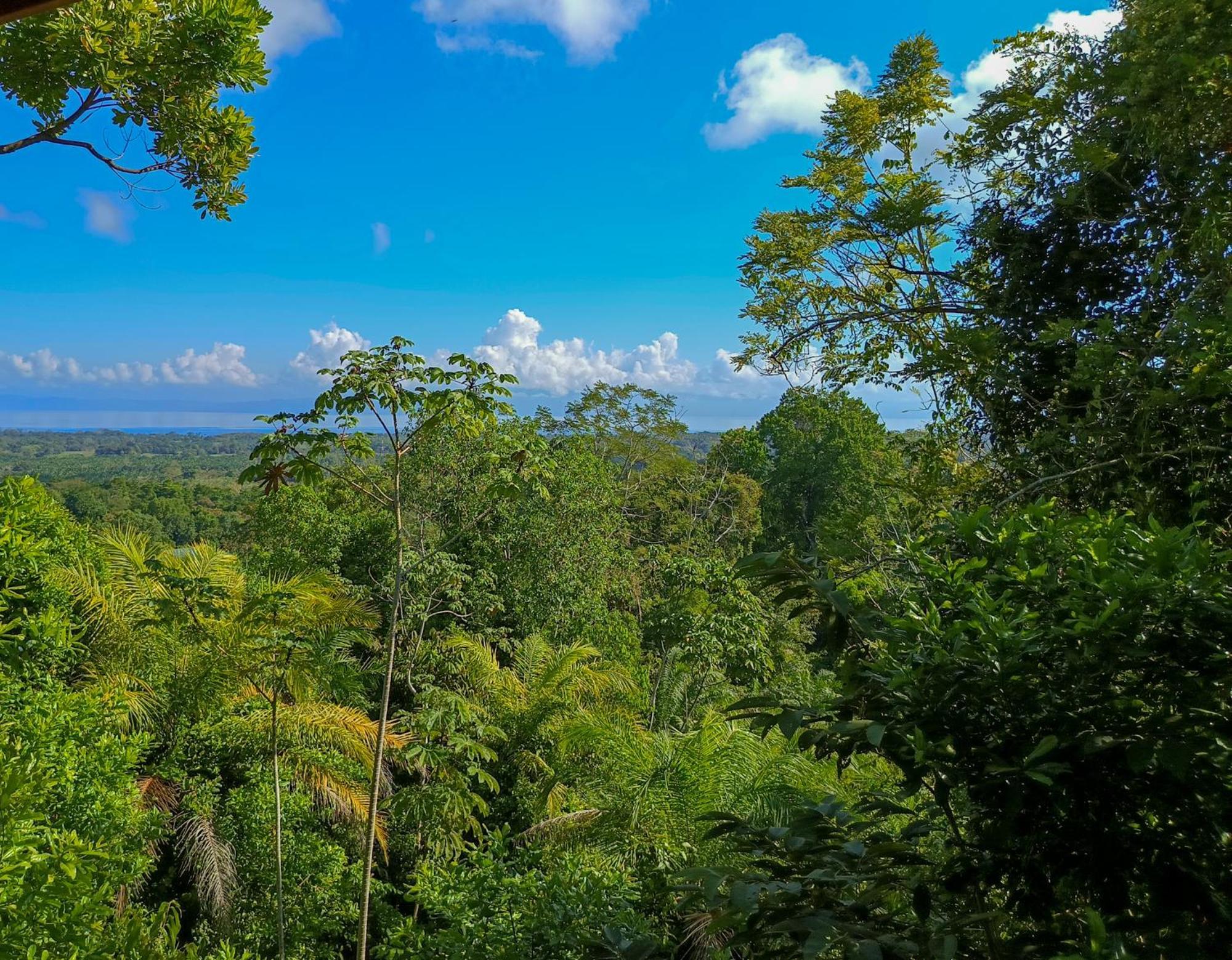 Corcovado Private Villas - Corcovado Private Reserve Puerto Jiménez エクステリア 写真